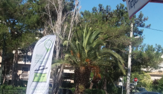 Ανακύκλωση μπαταριών στα EKO Green Spots