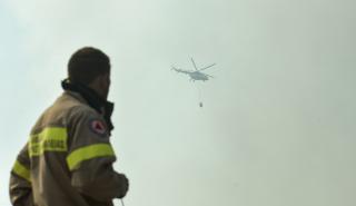 Πυρκαγιά σε αγροτοδασική έκταση στον Άγιο Ισίδωρο Μεσσηνίας
