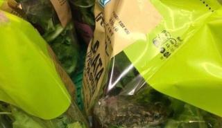 Τι λέει η ΑΒ Βασιλόπουλος για το περιστατικό με το βάτραχο στη συσκευασμένη σαλάτα