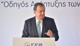 Μπίτσιος (ΣΕΒ): Με ανάπτυξη τουλάχιστον 4% πρέπει να «τρέξει» η Ελλάδα