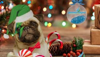 Ενεργειακό πάρκο στα Τρίκαλα στήνει η «Φυσικό Αέριο Ελληνική Εταιρεία Ενέργειας