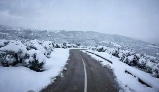 Λαμία: Σε πλήρη ανάπτυξη ο μηχανισμός αντιμετώπισης της κακοκαιρίας στη Στερεά Ελλάδα
