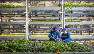 Σε startup αστικής καλλιέργειας επενδύουν Alphabet και Uber