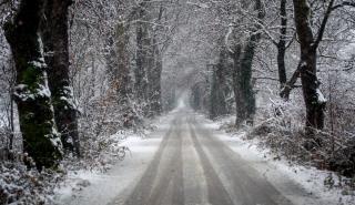 Θεσσαλονίκη: Διεκόπη η κυκλοφορία σε επαρχιακούς δρόμους λόγω χιονόπτωσης και παγετού    