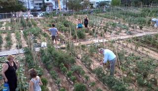 Οι φοιτητές του ΑΠΘ βοηθούν τους πολίτες να φτιάξουν λαχανόκηπους