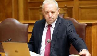 Ευθ. Λέκκας: Δεν βιώνουμε κλιματική αλλαγή, αλλά κλιματική κρίση