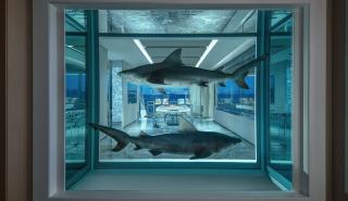 Σουίτα 100.000 δολαρίων για τους «μεγάλους παίχτες» του Λας Βέγκας (pics)