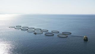 Νέο τοπίο στις ελληνικές ιχθυοκαλλιέργειες από το φθινόπωρο