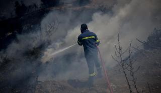 Πρόεδρος Πυροσβεστών: Θα οριοθετηθεί σήμερα η πυρκαγιά στην Εύβοια