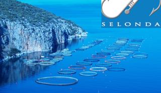Σελόντα: Έλαβε την πιστοποίηση Fish from Greece