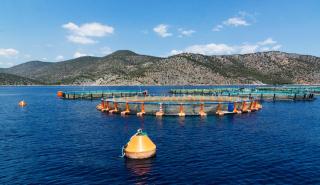 Έμφαση στην εξωστρέφεια από την Ελληνική Οργάνωση Παραγωγών Υδατοκαλλιέργειας