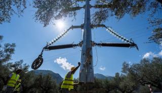 Φλώρινα: Εργαζόμενος του ΑΔΜΗΕ «κεραυνοβολήθηκε» κλαδεύοντας δένδρα