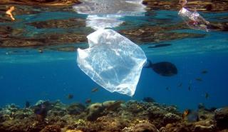 Ισπανία: Εκατομμύρια πλαστικά σφαιρίδια ξεβράστηκαν στις ακτές - Αγώνας δρόμου για τον καθαρισμό