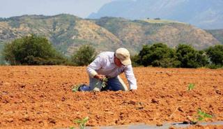 Διευκρινήσεις για τη φορολόγηση των αγροτικών επιδοτήσεων