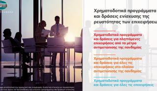 Εθνική: Αυτά είναι όλα τα προγράμματα ενίσχυσης ρευστότητας των επιχειρήσεων