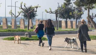 Λάρισα: Ξεκίνησε τη λειτουργία του το πρώτο κοιμητήριο μικρών ζώων συντροφιάς