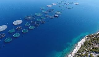 Νηρεύς: Υπέβαλε αίτημα διαγραφής των μετοχών από το Χρηματιστήριο Αθηνών