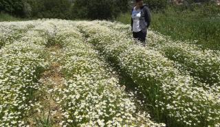 Προγράμματα Αγροτικής Ανάπτυξης - Σε αναμονή και σε εξέλιξη...