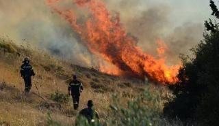 Ποινική δίωξη στον Τούρκο εμπρηστή για φωτιές στο όρος Αιγάλεω