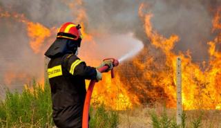 Σε εξέλιξη πυρκαγιά στη περιοχή Βούρβουρα Αρκαδίας