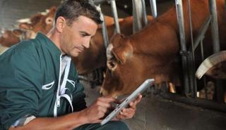 Νέοι κανόνες της ΕΕ για τα κτηνιατρικά φάρμακα τίθενται σε εφαρμογή