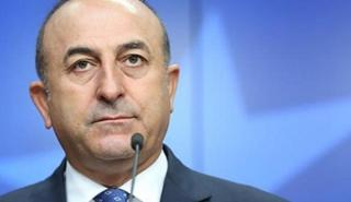 Η Τουρκία πρόθυμη να συνδράμει την Λιθουανία στο θέμα των μεταναστών