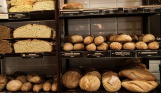 Τι συμβαίνει με την τιμή του ψωμιού