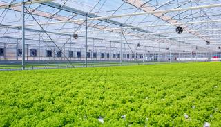 Ένας «μαγικός κήπος» δίνει χρώμα στη βιώσιμη γεωργία (pics)