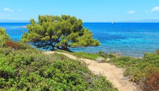 Ο κορονοϊός έφερε τα «πάνω κάτω» στην αγορά ακινήτων της Χαλκιδικής