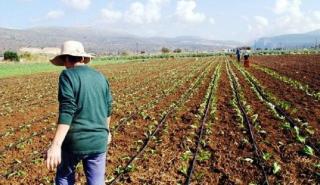Πρόγραμμα Νέων Αγροτών: Γιατί δεν προσελκύει πλέον ενδιαφερόμενους; Προτάσεις...