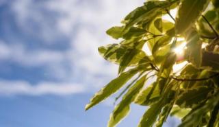 Meteo: O φετινός Μάιος ήταν ο πιο ψυχρός μήνας των τελευταίων 14 ετών