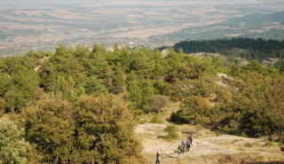 ΥΠΕΝ: «Βάζει μπρος» καθαρισμό δασών και αντιπυρικές ζώνες 
