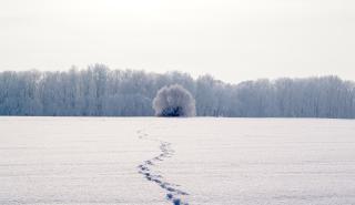 Περιβαλλοντικό Αποτύπωμα: Από τις διεθνείς πολιτικές στην ατομική ευθύνη