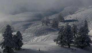Μήδεια: Πυκνές χιονοπτώσεις και ισχυρός παγετός από τη Δευτέρα