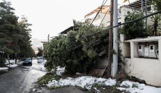 Γιγαντιαία επιχείρηση αποκατάστασης ζημιών- «Νέο» δίκτυο σε Διόνυσο, Δροσιά, Εκάλη