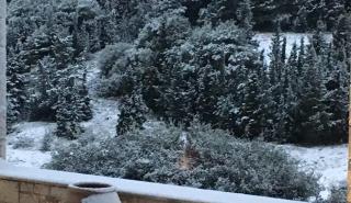 Κλειστά τα σχολεία σε αρκετές περιοχές της χώρας - Προβλήματα στην Άνδρο