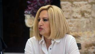 Γεννηματά: Η πανδημία αποτελεί κίνδυνο για τη δημοκρατία