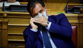 Άδ. Γεωργιάδης: Οι φαρμακοποιοί ήξεραν ότι τα self tests είναι σε συσκευασία 25 τεμαχίων - Τον Μάιο το άνοιγμα της εστίασης