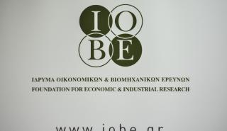 ΙΟΒΕ: Επιπτώσεις του υψηλού ενεργειακού κόστους στη χημική βιομηχανία και προτάσεις αντιμετώπισης