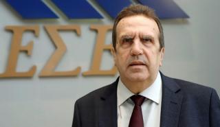 Καρανίκας (ΕΣΕΕ): Οι μικρομεσαίες επιχειρήσεις πρέπει να μάθουν να κολυμπούν στα βαθιά νερά