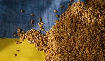 Η Ουκρανία θα αποστείλει φορτίο σιτηρών στην Αιθιοπία