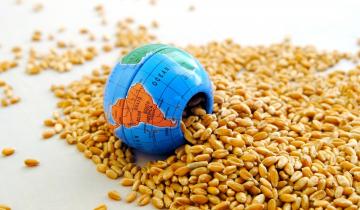 Σε χαμηλά δύο ετών οι τιμές των τροφίμων παγκοσμίως - Φυτικά έλαια και δημητριακά «οδηγούν» την κάμψη