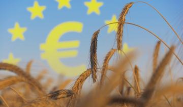 Προγράμματα Αγροτικής Ανάπτυξης: Δεν θα εγκρίνονται όλοι...