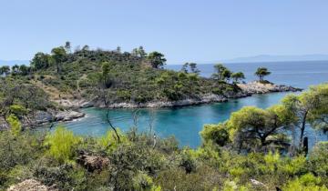 Η Σκόπελος «παραδεισένιος προορισμός» για τους Σουηδούς το 2026