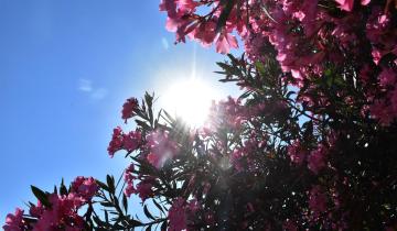 Copernicus: Ο Φεβρουάριος στους πιο θερμούς παγκοσμίως στα χρονικά, ακραίες βροχοπτώσεις στην Ευρώπη