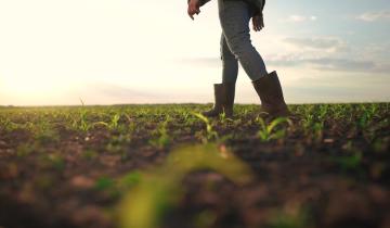Πρόεδρος ΕΛΓΑ: Πριν τις γιορτές η προκαταβολή αποζημιώσεων του 2025, ύψους 120 εκατ.