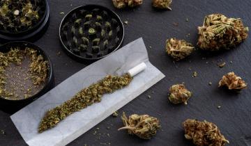 Εκτοξεύονται οι μετοχές κάνναβης καθώς ο Τραμπ φέρνει χαλαρότερους κανόνες