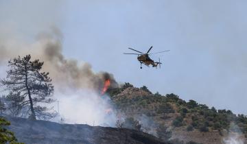 Σε εξέλιξη φωτιά στο Φίλυρο Θεσσαλονίκης - Μήνυμα από το 112