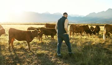 Άνοιξαν οι αιτήσεις για το πρόγραμμα Agrifood Leadership 2025 - 2026