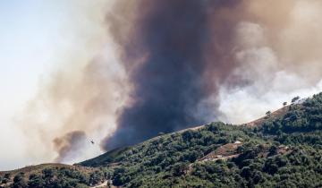 Φωτιά σε δασική έκταση στη Χίο - Επιχειρούν εναέρια μέσα